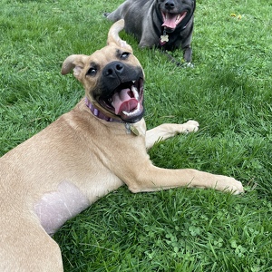 Fundraising Page: Caitlyn Sanders